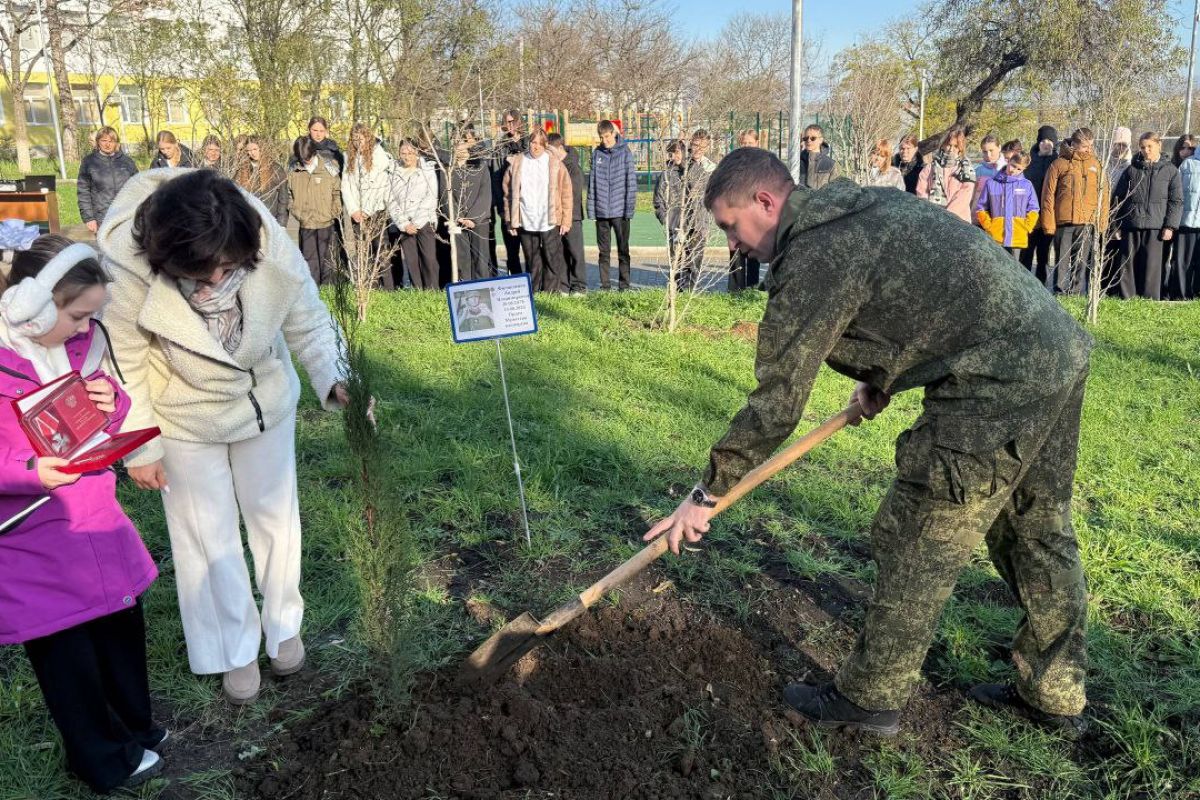 Во дворе школы №41 открыли «Аллею Памяти» в рамках партпроекта «Историческая память»