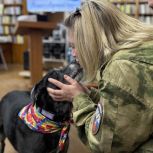 В рамках акции «Лучший друг» «Единая Россия» собрала для зооприютов Смоленской области почти 1,5 тонны кормов и медикаментов