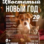В Рязани при поддержке «Единой России» состоится предновогодняя выставка-поиск дома для собак и кошек «Хвостатый»