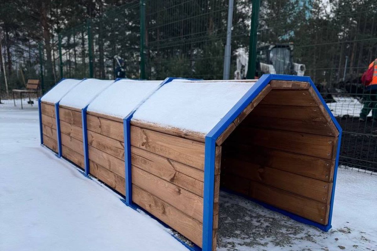 В Красноярске появится  новая площадка для выгула собак