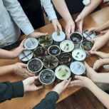 Новогодняя акция «Тепло для Героя» объединила единороссов, школьников и казаков