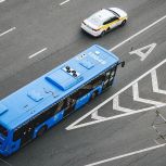 Новые выделенные полосы появились в пяти округах Москвы
