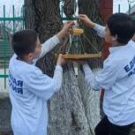 Шалинские школьники построили 30 скворечников для птиц