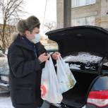 Доставка продуктов и уборка снега: Активисты помогают жителям Новой Москвы