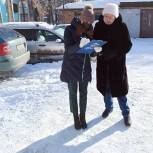 В Агаповском районе «Народный контроль» проверяет уборку снега