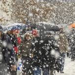 Геннадий Онищенко предупредил об опасности во время снегопада
