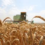 Владимир Плотников: Фермеры способны придать новую динамику развитию сельского хозяйства страны