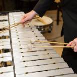 В Тарскую ДШИ поступят новые ксилофоны и барабаны