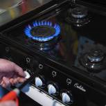 Ваш консультант: Как проверить исправность газового оборудования и не попасть на уловки мошенников?