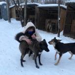 Единороссы Новой Москвы помогли приюту для бездомных животных