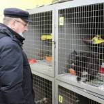 Ивановские депутаты привезли в приют две тонны корма для животных