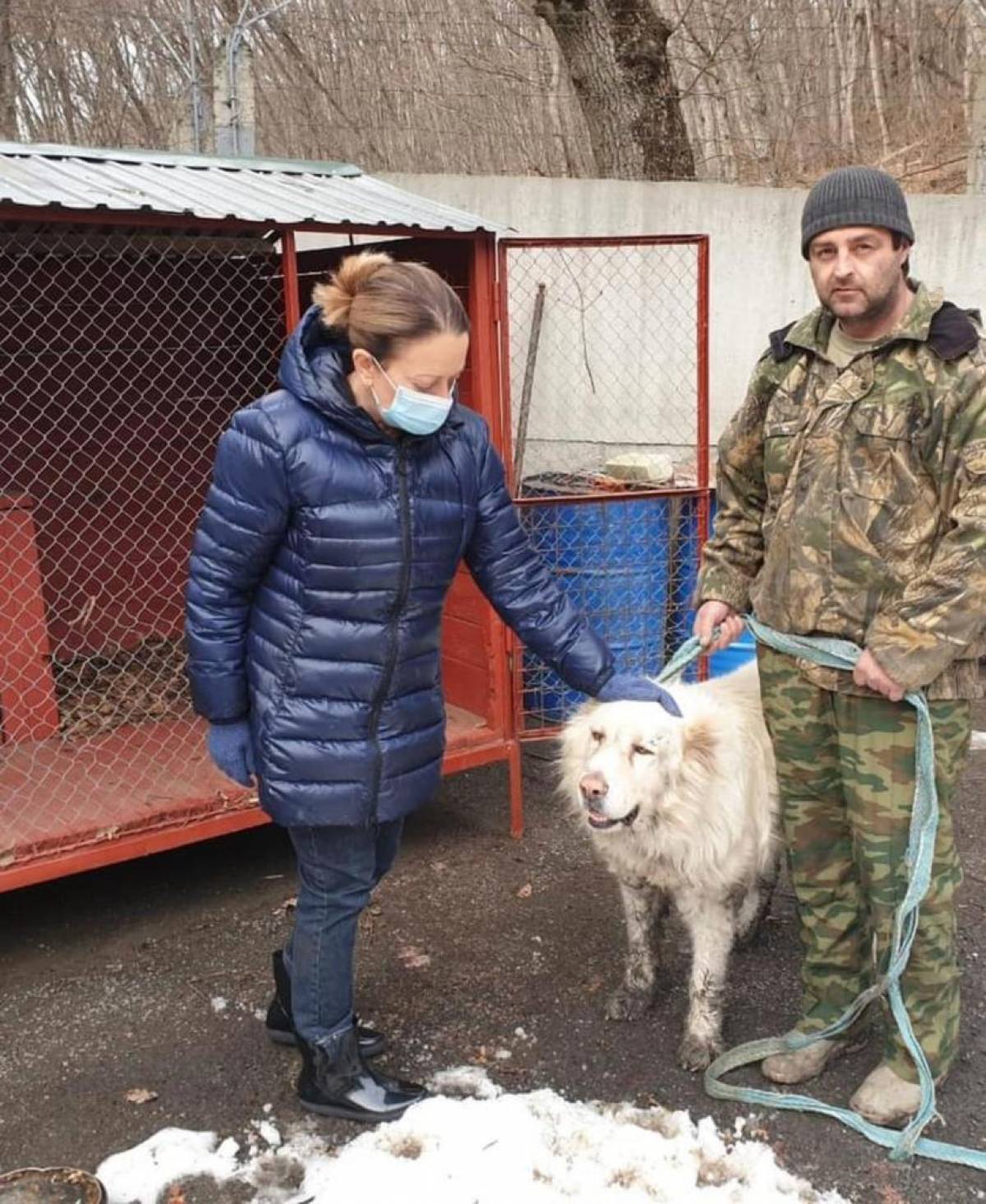 В селе Надежда закрывается частный приют для бездомных животных «Гавкис»