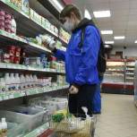 Грибановские единороссы наращивают поддержку пожилых и одиноких людей