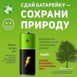 Сдать на переработку использованные батарейки можно в трех магазинах Пскова