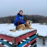 Волонтёры «Единой России» поддержали Можайский приют для бездомных животных