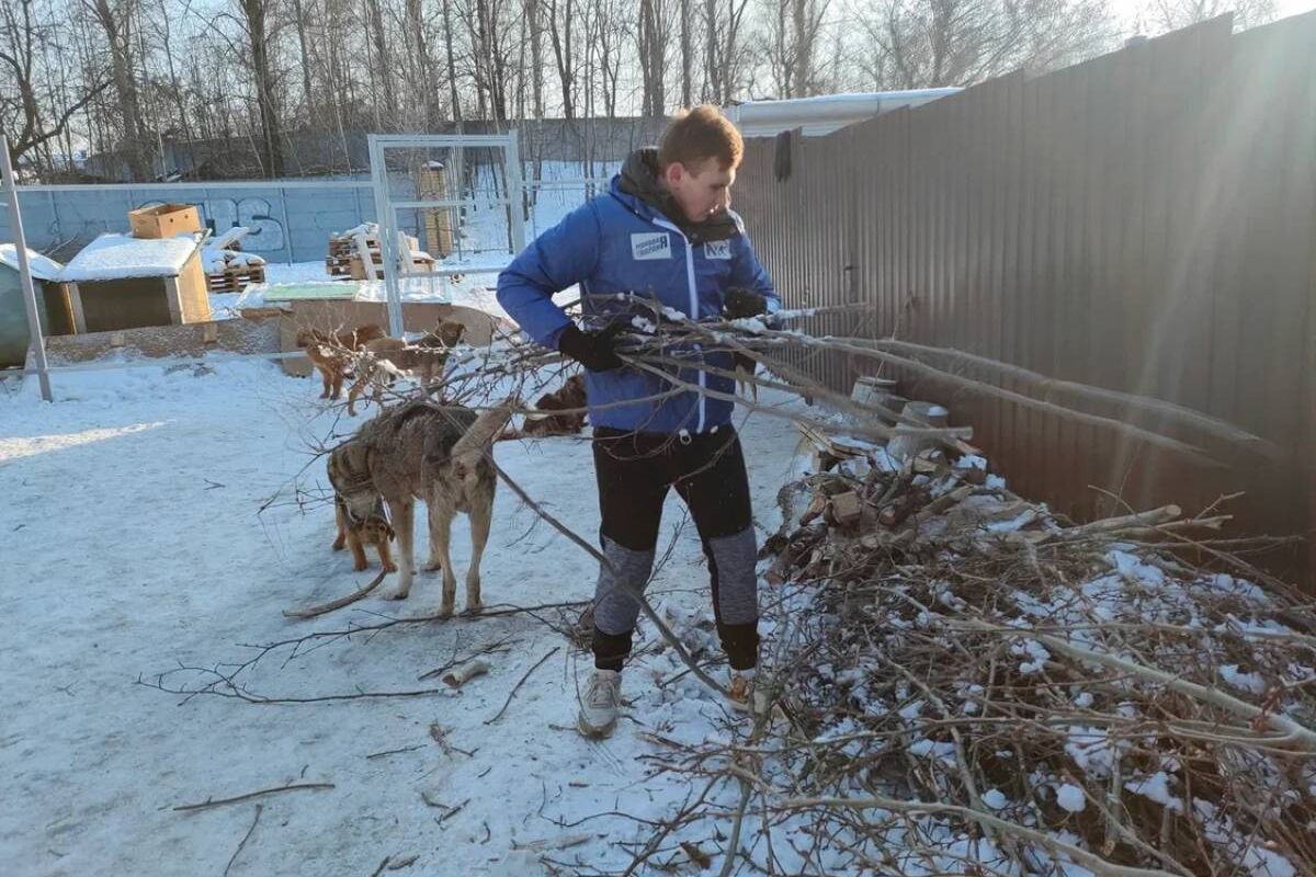 Воронежские активисты «Молодой Гвардии» и «Единой России» помогли городскому приюту для животных