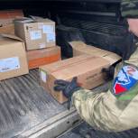 «Единая Россия» доставила медикаменты жителям Голопристанского района Херсонской области