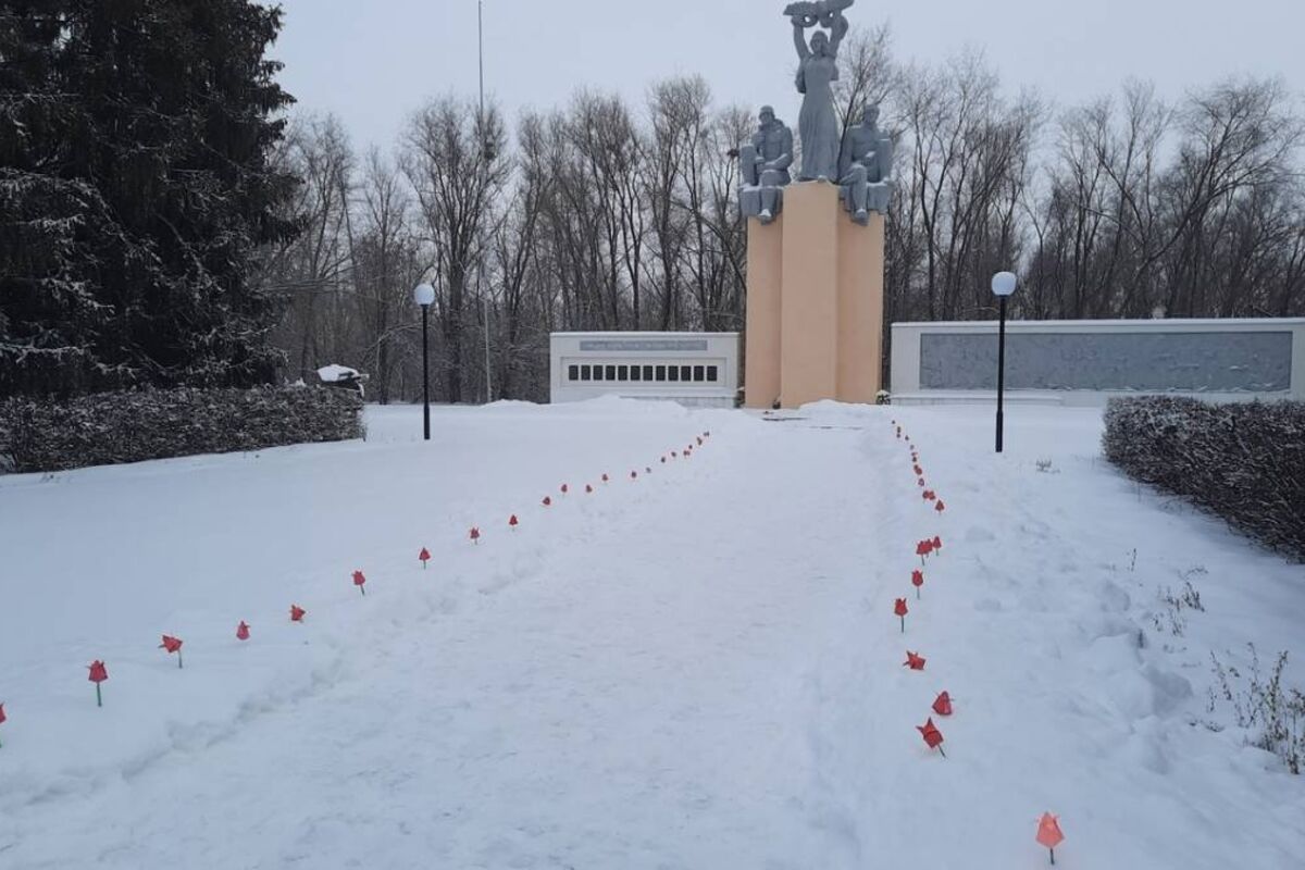 Красные тюльпаны» расцвели в память о героях-земляках в самарском регионе