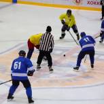 В Воскресенске единороссы поддержали матч в рамках «Хоккейного долголетия»