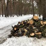 Курские единороссы продолжают заготавливать дрова для обогрева наших военнослужащих