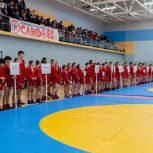 Всероссийские соревнования по самбо, посвященный Дню работника прокуратуры Российской Федерации, прошли в Домодедове