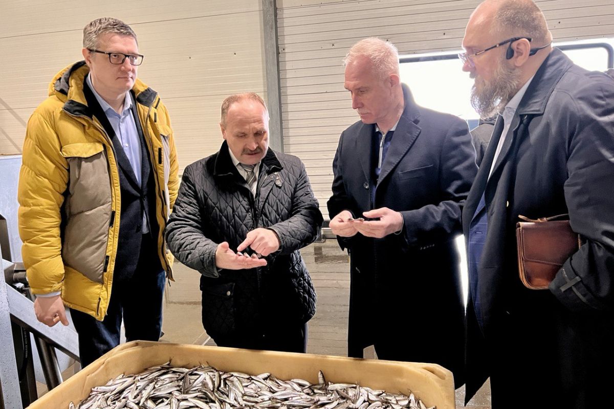 Проект «Выбирай свое»: Калининградским рыбным консервам дали квоты на беспошлинный экспорт
