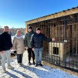 В Амурской области «Единая Россия» организовала строительство вольеров в приюте для животных