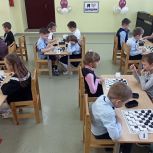 Турнир по шашкам прошел в Козьмодемьянске