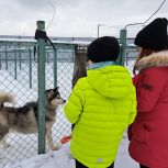 «Единая Россия» организовала московским школьникам экскурсию в приют для бездомных животных