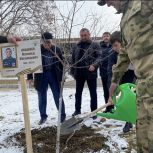 Единороссы приняли участие в патриотической акции «Сад памяти»