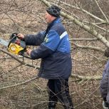 В Волово активисты партии благоустроили территорию воинского памятника