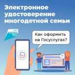 Жители Рязанской области могут оформить статус многодетной семьи через портал «Госуслуги»
