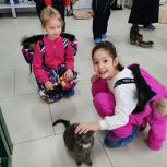 Воспитанники детского сада Нового Уренгоя посетили приют для бездомных животных