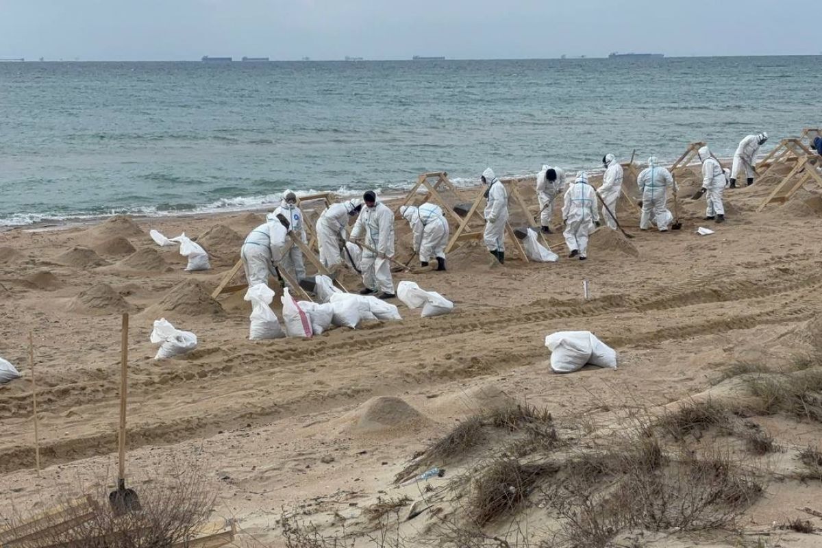 Как сейчас выглядит черное море в мазуте Волонтеры "Единой России" собрали и вывезли более 150 тонн мазута и загрязненног