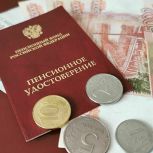 На Кубани самозанятые граждане добровольно формируют будущую пенсию