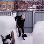 В селе Шошка партийцы помогли пожилой женщине с уборкой снега во дворе