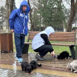 Молодогвардейцы в День спонтанного проявления доброты провели акцию в Махачкале