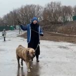 На юго-востоке Москвы активисты провели акцию «Лучший друг»