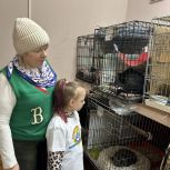 В Екатеринбурге «Единая Россия» собрала корма для бездомных животных