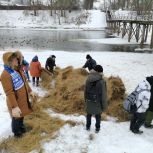 Правдинские единороссы оказали помощь замерзающим птицам