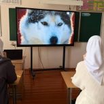 В Чеченской Республике участниками Международного фестиваля спортивного кино стали более тысячи школьников
