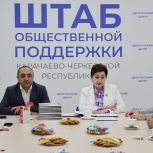 В Единой России обсудили совместную работу сторонников партии и НКО