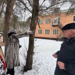 Единороссы и школьники повесили новые кормушки для птиц