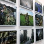 «Никто не забыт»: в Верхнеуральске открылась выставка в память о Героях СВО