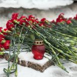 В Ульяновске единороссы почтили память воинов-интернационалистов
