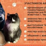 "Единая Россия" в Череповце проведет акцию в поддержку бездомных животных