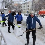 Партийцы Мордовии присоединились к акции "Снежный десант"