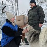 Волонтёры «Единой России» передали корм в приют для собак в Ковдоре Мурманской области
