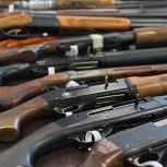 При содействии Росгвардии и поддержке Единой России охотники Запорожской области передали на фронт более 30 ружей