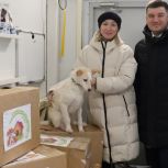 «Единая Россия» поддержала приют для бездомных животных в Ульяновске